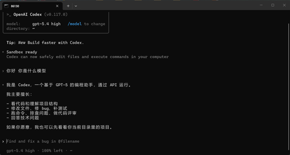 Codex CC 配置步骤2
